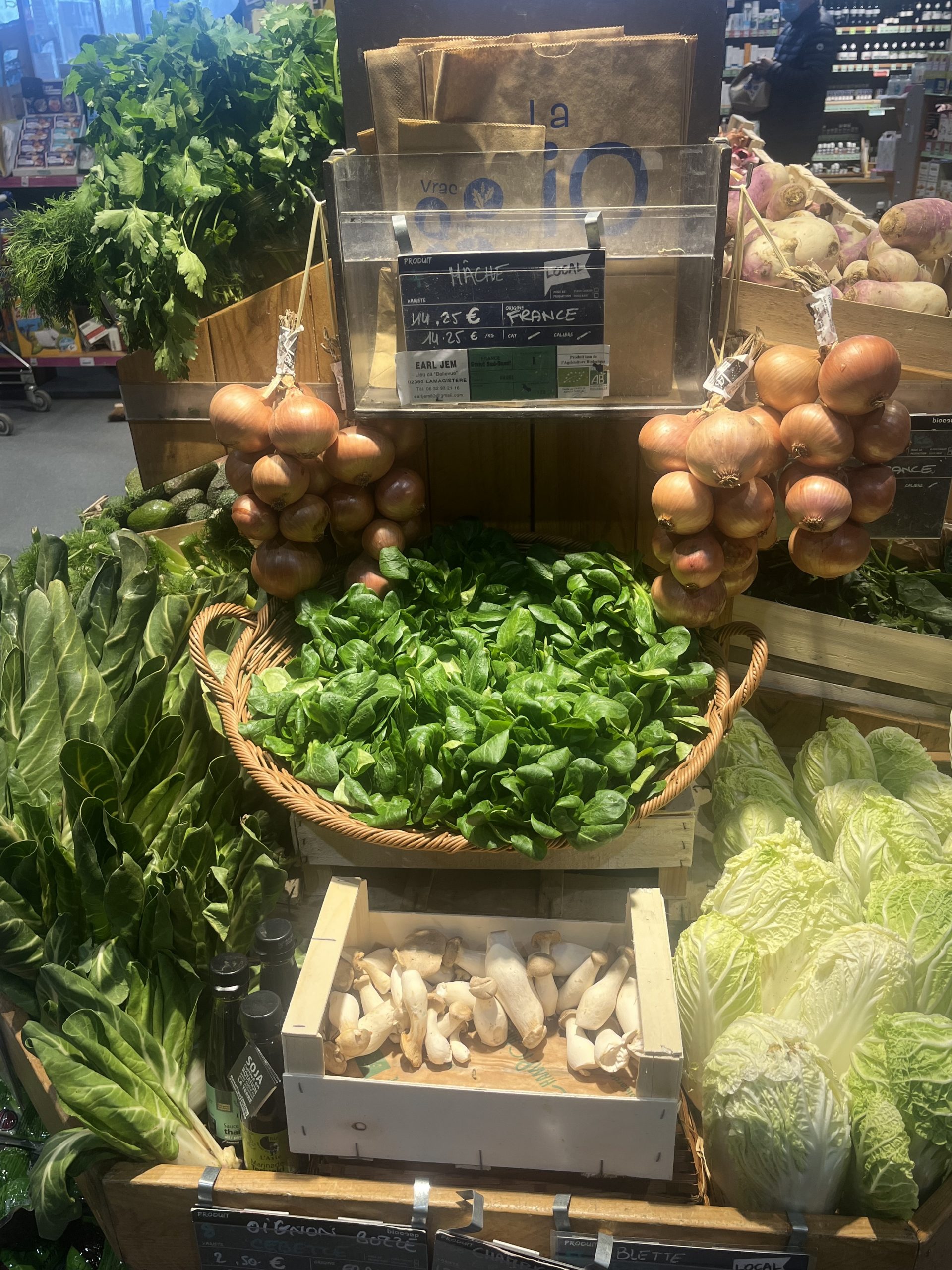 Les légumes insolites – Le Fenouil Biocoop